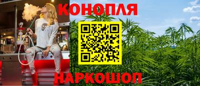 индика Новозыбков