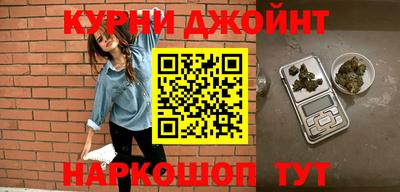 индика Новозыбков