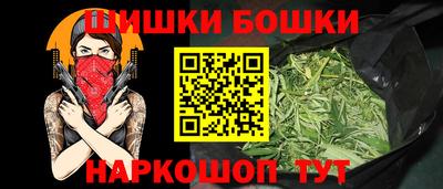 индика Новозыбков
