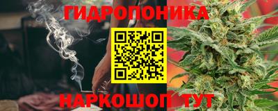 индика Новозыбков
