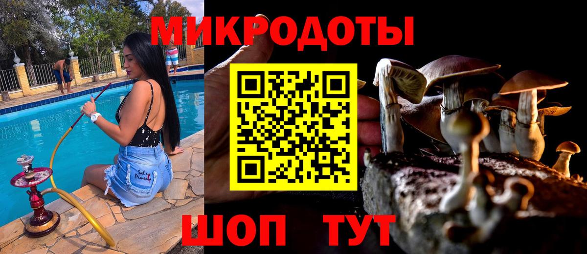 Псилоцибиновые грибы мухоморы  Псилоцибиновые грибы ЛСД  Вход с VPN  Алексин 